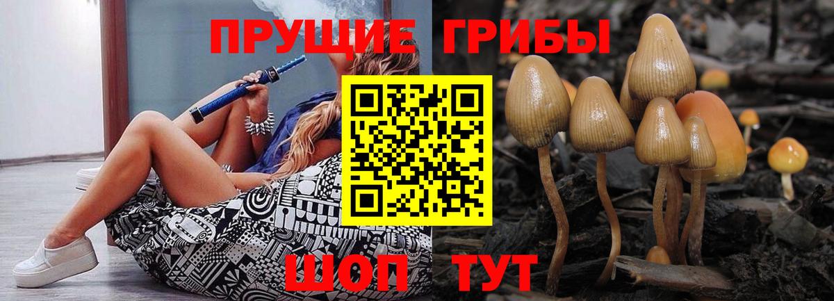 Псилоцибиновые грибы прущие грибы Омск