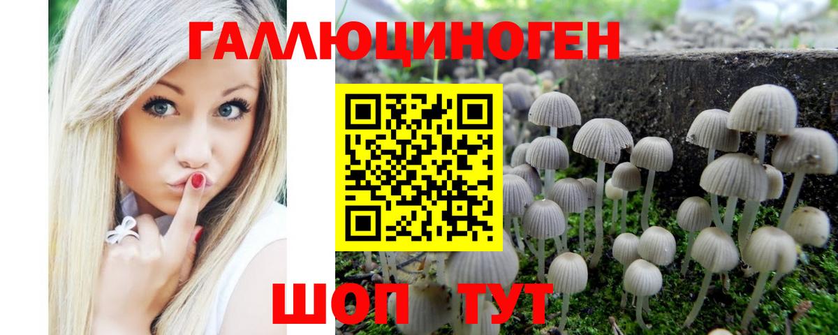 Омск  Псилоцибиновые грибы мухоморы  Вход с VPN  Галлюциногенные грибы GOLDEN TEACHER 