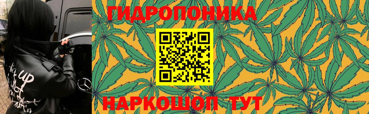 Канабис Ganja  Конопля White Widow  МАРИХУАНА конопля  Омск  Вход с VPN 